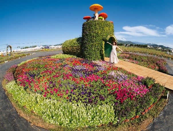 2024台中國際花毯節「太空花境」繁花綻放，萬眾矚目必看花海美景，搭配絕美山景輕鬆拍大片 生活 第9張