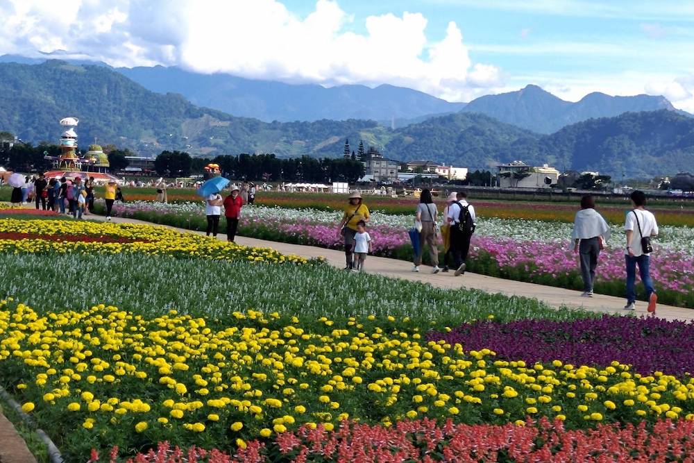 2024台中國際花毯節「太空花境」繁花綻放，萬眾矚目必看花海美景，搭配絕美山景輕鬆拍大片 生活 第7張