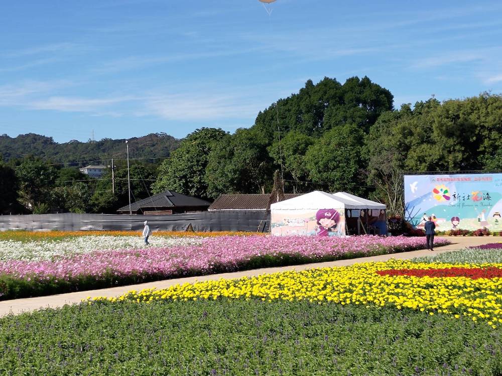 2024台中國際花毯節「太空花境」繁花綻放，萬眾矚目必看花海美景，搭配絕美山景輕鬆拍大片 生活 第8張